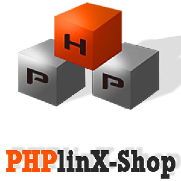 Bild Webhosting